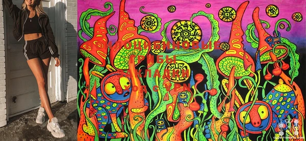 MDMA Premium VHQ Зеленодольск