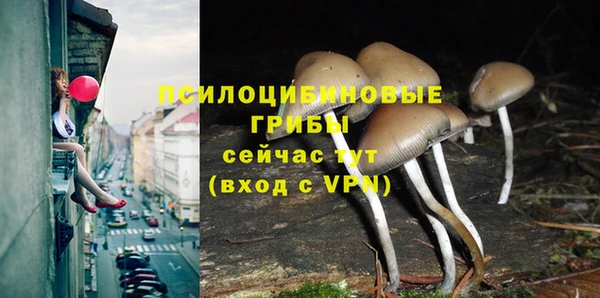 MDMA Premium VHQ Зеленодольск