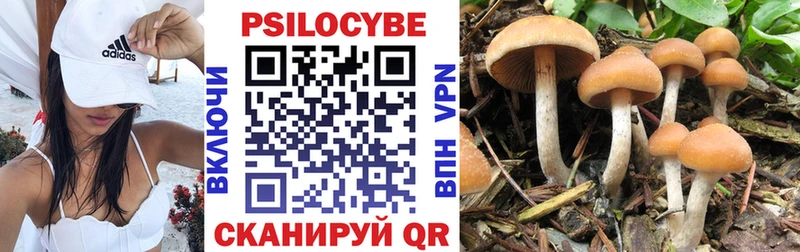 Купить  Чапаевск  Галлюциногенные грибы Magic Shrooms 